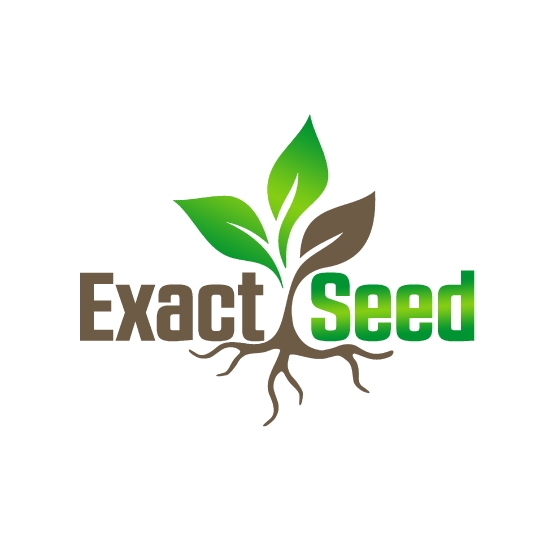 Wholesale Seed Supplier